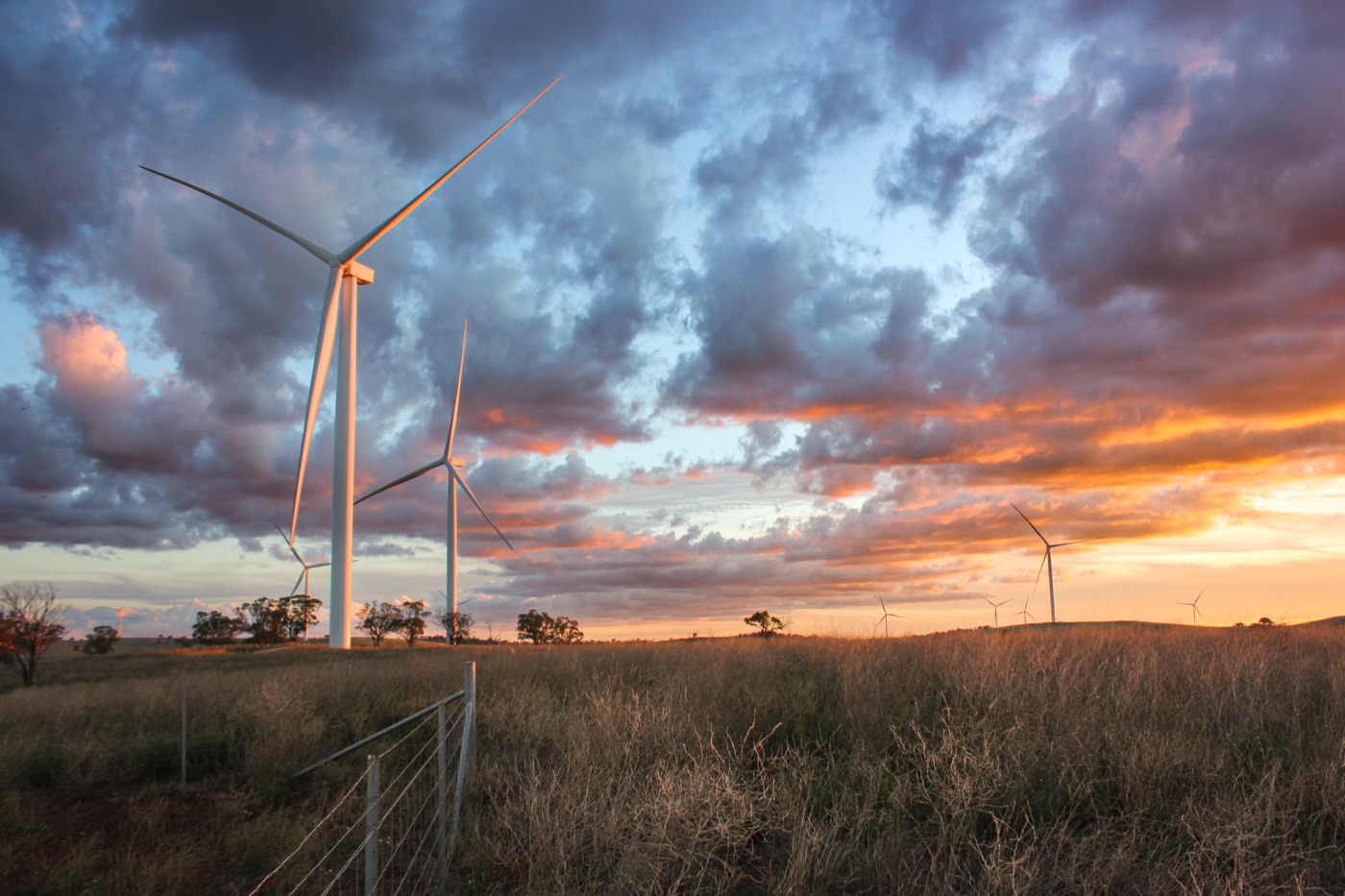 Australian wind farm at sunset